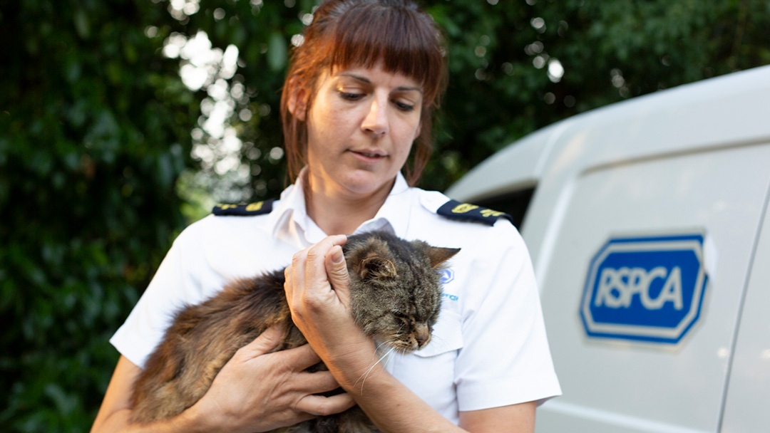 Purina & RSPCA help keep 900 pets in loving homes | Purina